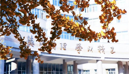 北京理工大學(xué)王牌專業(yè)盤點(diǎn) 網(wǎng)絡(luò)與信息安全、軟件開發(fā)等熱門方向不可錯(cuò)過